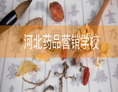 河北藥品營(yíng)銷(xiāo)學(xué)校