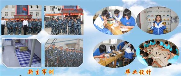 青島海信中心聯(lián)校收費(fèi)標(biāo)準(zhǔn)是什么？