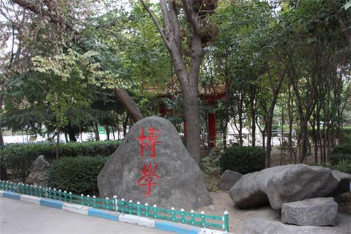  山東人民專修學(xué)院怎樣安排學(xué)生就業(yè)？