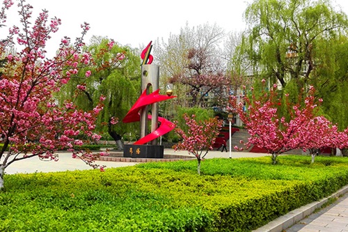 選擇齊魯技術(shù)學(xué)院學(xué)幼師怎么樣？
